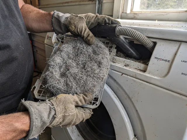 Cleaning Dryer Lint Trap in Monroe